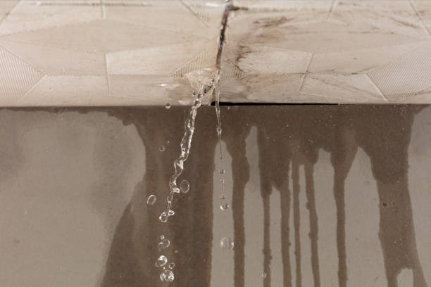 Professional Water Damage Repair technician working in Avalon, TX